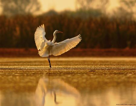 audubon bird sanctuary