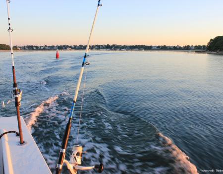 fishing gulf shores alabama