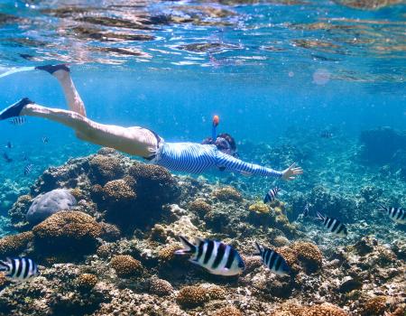 Snorkeling on the Alabama Gulf Coast