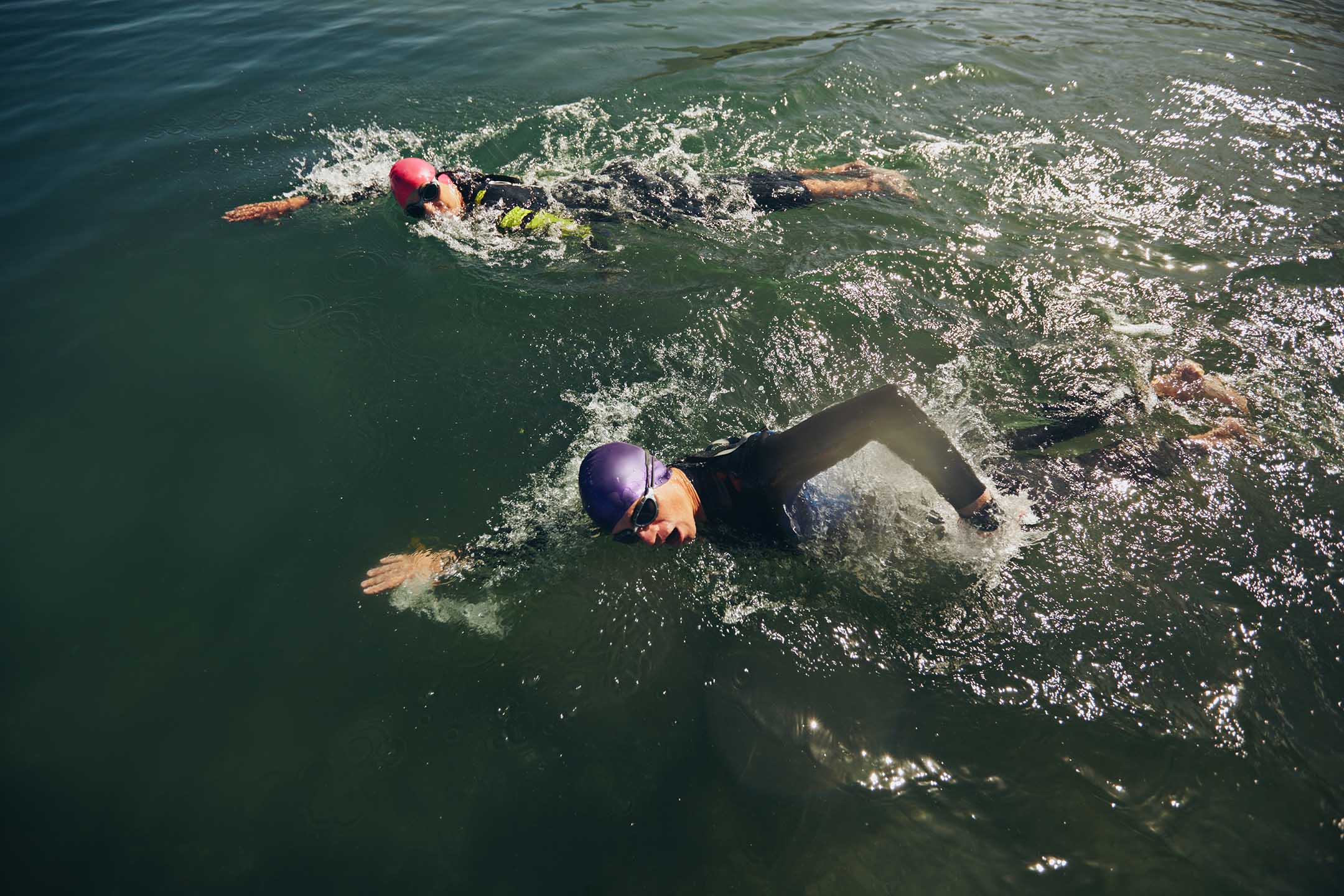 Triathletes swimming